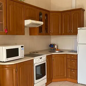 Апартаменты Comfortable On The Obolon, Киев